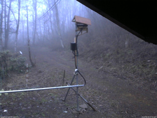 長野県菅平高原 ゆたか山荘 南側 2026/04/16 05:30