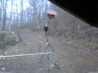 長野県菅平高原 ゆたか山荘 南側 2026/04/16 05:45