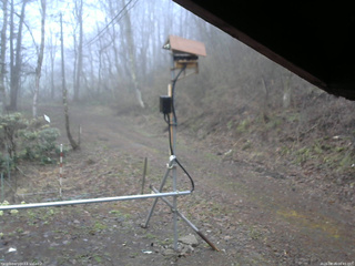 長野県菅平高原 ゆたか山荘 南側 2026/04/16 06:45