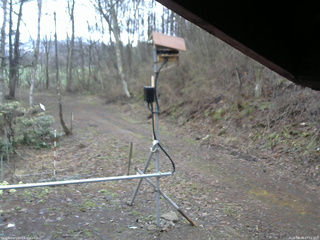 長野県菅平高原 ゆたか山荘 南側 2026/04/16 07:15