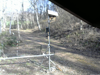 長野県菅平高原 ゆたか山荘 南側 2026/04/16 15:45