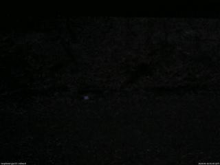 長野県菅平高原 ゆたか山荘 東側(坂下) 2026/04/16 05:00