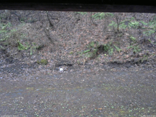 長野県菅平高原 ゆたか山荘 東側(坂下) 2026/04/16 05:45