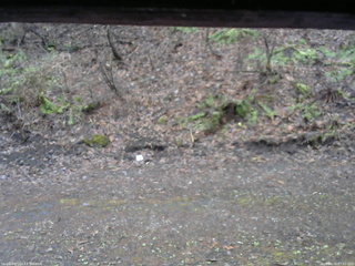 長野県菅平高原 ゆたか山荘 東側(坂下) 2026/04/16 07:00