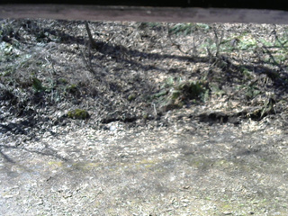 長野県菅平高原 ゆたか山荘 東側(坂下) 2026/04/16 08:45