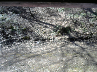 長野県菅平高原 ゆたか山荘 東側(坂下) 2026/04/16 09:15