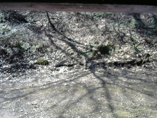 長野県菅平高原 ゆたか山荘 東側(坂下) 2026/04/16 09:30