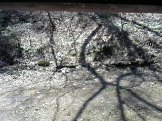 長野県菅平高原 ゆたか山荘 東側(坂下) 2026/04/16 11:00