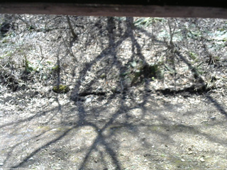 長野県菅平高原 ゆたか山荘 東側(坂下) 2026/04/16 11:30