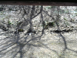 長野県菅平高原 ゆたか山荘 東側(坂下) 2026/04/16 11:45