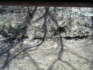 長野県菅平高原 ゆたか山荘 東側(坂下) 2026/04/16 12:00