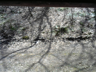 長野県菅平高原 ゆたか山荘 東側(坂下) 2026/04/16 12:15