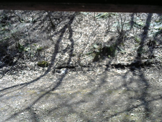 長野県菅平高原 ゆたか山荘 東側(坂下) 2026/04/16 12:30