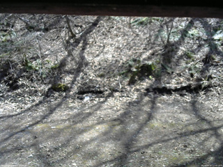 長野県菅平高原 ゆたか山荘 東側(坂下) 2026/04/16 12:45