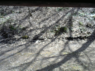 長野県菅平高原 ゆたか山荘 東側(坂下) 2026/04/16 13:15