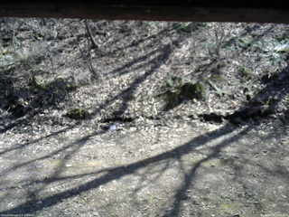 長野県菅平高原 ゆたか山荘 東側(坂下) 2026/04/16 13:45