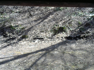 長野県菅平高原 ゆたか山荘 東側(坂下) 2026/04/16 14:00