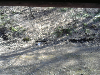 長野県菅平高原 ゆたか山荘 東側(坂下) 2026/04/16 14:30