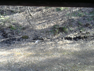 長野県菅平高原 ゆたか山荘 東側(坂下) 2026/04/16 15:30