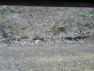 長野県菅平高原 ゆたか山荘 東側(坂下) 2026/04/16 16:30