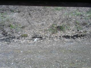 長野県菅平高原 ゆたか山荘 東側(坂下) 2026/04/16 17:00