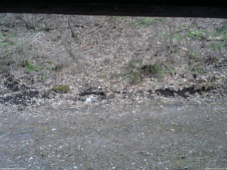 長野県菅平高原 ゆたか山荘 東側(坂下) 2026/04/16 18:15