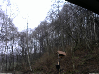 長野県菅平高原 ゆたか山荘 温度計 2026/04/16 06:00