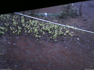 長野県菅平高原 ゆたか山荘 駐車場 2026/04/16 05:15
