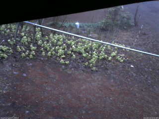 長野県菅平高原 ゆたか山荘 駐車場 2026/04/16 05:30