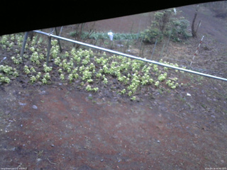 長野県菅平高原 ゆたか山荘 駐車場 2026/04/16 05:45