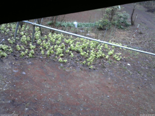 長野県菅平高原 ゆたか山荘 駐車場 2026/04/16 06:00