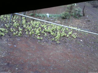 長野県菅平高原 ゆたか山荘 駐車場 2026/04/16 06:15