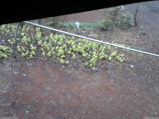 長野県菅平高原 ゆたか山荘 駐車場 2026/04/16 06:45