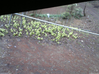 長野県菅平高原 ゆたか山荘 駐車場 2026/04/16 07:15