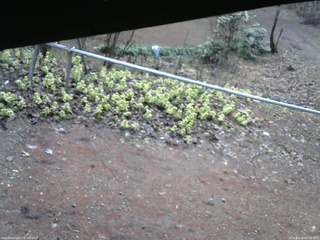 長野県菅平高原 ゆたか山荘 駐車場 2026/04/16 07:30