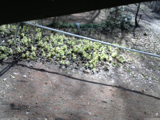 長野県菅平高原 ゆたか山荘 駐車場 2026/04/16 08:00