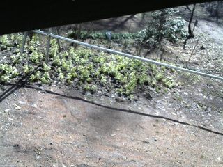 長野県菅平高原 ゆたか山荘 駐車場 2026/04/16 08:15