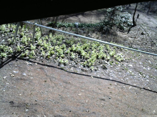 長野県菅平高原 ゆたか山荘 駐車場 2026/04/16 08:30