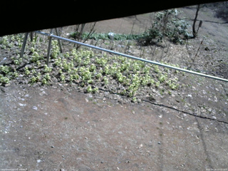 長野県菅平高原 ゆたか山荘 駐車場 2026/04/16 10:15