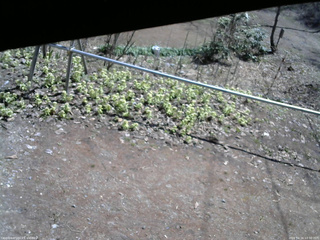 長野県菅平高原 ゆたか山荘 駐車場 2026/04/16 10:30