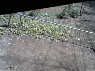 長野県菅平高原 ゆたか山荘 駐車場 2026/04/16 11:15