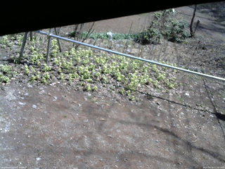 長野県菅平高原 ゆたか山荘 駐車場 2026/04/16 11:30