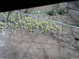 長野県菅平高原 ゆたか山荘 駐車場 2026/04/16 11:45