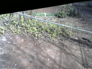 長野県菅平高原 ゆたか山荘 駐車場 2026/04/16 12:45