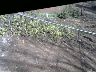 長野県菅平高原 ゆたか山荘 駐車場 2026/04/16 13:15