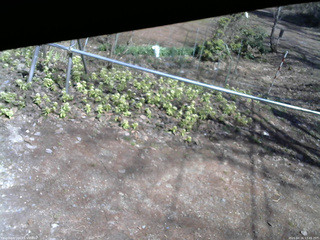 長野県菅平高原 ゆたか山荘 駐車場 2026/04/16 13:45