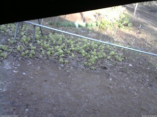 長野県菅平高原 ゆたか山荘 駐車場 2026/04/16 16:30