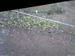 長野県菅平高原 ゆたか山荘 駐車場 2026/04/16 17:45
