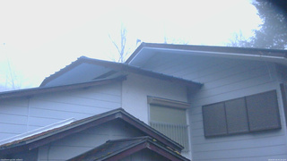 長野県菅平高原 ゆたか山荘 駐車場奥 2026/04/16 05:30