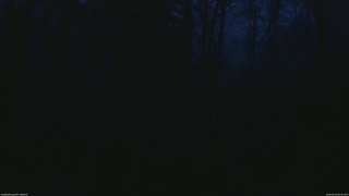 長野県菅平高原 ゆたか山荘 坂上 2026/04/16 05:00